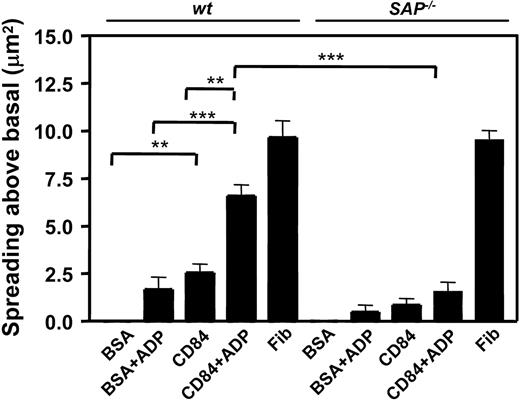 Figure 7. Spreading of wt and SAP–/– platelets on the immobilized extracellular domain of CD84. Graphic representation of wt (n = 5) and SAP–/– (n = 5) washed mouse platelet spreading on the indicated surfaces in the presence or absence of added 1 μM ADP or 100 μM MRS2179. **, P < .01; ***P < .005.