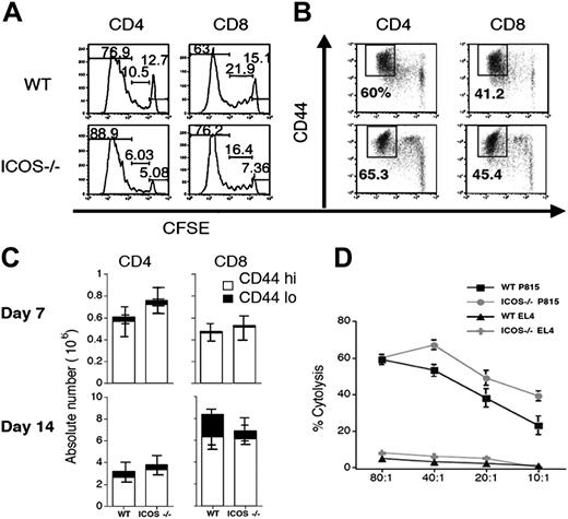 Figure 4. ICOS-/- T cells have intact activation, proliferation, and cytolytic activity. (A) In vivo proliferation and (B) up-regulation of activation markers. WT and ICOS-/- B6 T cells were labeled with CFSE and transferred into sublethally irradiated (750 cGy) allogeneic C3FeB6F1 recipients. Transferred T cells were analyzed by flow cytometry 72 hours after infusion. (C) Donor T-cell expansion during GVHD. Lethally irradiated (1300 cGy split) C3FeB6F1 recipients received transplants with B6 TCD allo-HSCs (5 × 106) and splenic T cells (1 × 106) from WT or ICOS-/- B6 donors. Each group contained 6 animals. Recipients were killed on days 7 and 14 after allo-HSCT. Splenocytes were isolated and analyzed by flow cytometry. Absolute numbers of cells were calculated from total cell counts and percentage of donor origin determined by flow cytometry. Data are shown as the average of absolute T-cell numbers ± SEM. Statistical analysis: no difference. Data shown are representative of 2 independent experiments (n = 5 to 10 animals). (D) Cytolytic activity of WT and ICOS-/- T cells. The murine cell lines P815 (H-2d) and EL4 (H-2b) were labeled with 51Cr and incubated with in vitro–primed effector T cells from WT or ICOS -/- B6 mice at the ratios indicated. Cells were cocultured for 4 hours before specific lysis was determined.