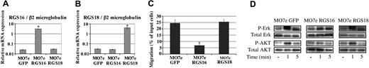 Figure 2. Overexpression of RGS16 and RGS18 in MO7e cell line. MO7e cells were infected with retroviruses containing RGS16 or RGS18. These and the control cells, which contain only the GFP, were sorted and analyzed. (A) Level of overexpression of RGS16 in MO7e RGS16 cells. Quantitative RT-PCR was performed, and RGS mRNA level was compared with the β2m mRNA level. This histogram represents the mRNA quantity of exogenous RGS in MO7e RGS16 and in MO7e RGS18. (B) Level of overexpression of RGS18 in MO7e RGS18 cell line. Quantitative RT-PCR was performed, and RGS mRNA level was compared with the β2m mRNA level. This histogram represents the mRNA quantity of RGS in MO7e RGS16 and MO7e RGS18 cells. (C) SDF-1–induced migration of MO7e GFP, MO7e RGS16, and MO7e RGS18 cells. Data represent the percentage of migrated cells compared with total input cells. The graph shows the mean ± SD of 4 independent experiments performed in duplicate. *P < .01. (D) Effect of RGS protein overexpression on the Erk and AKT activation pathway. MO7e GFP, MO7e RGS16, and MO7e RGS18 cell lines were starved of serum and GM-CSF for 12 hours and were stimulated or not with 300 ng/mL SDF-1 for the times indicated. (D) Erk and AKT activation was analyzed by Western blot analysis using an anti–phospho-Erk (P-Erk) antibody and an anti–phospho-AKT (P-AKT) antibody. Protein loading was assayed by labeling with an anti-Erk antibody (Total Erk) and an anti-AKT antibody (Total AKT).