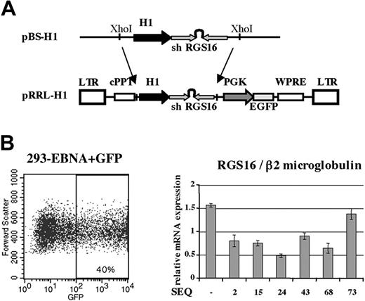 Figure 3. Inhibition of RGS16 expression. (A) Construction of an expression plasmid bearing shRNA and a lentiviral expression vector coding for shRGS16. (B) Test of different sequences of shRGS16 in 293 EBNA cells. 293 EBNA cells were cotransfected with pBS-H1 bearing different sequences of shRGS16 and MIGR as a marker of transfection efficiency. EBNA cells were sorted as shown on the GFP level. GFP+ cells were analyzed for RGS16 expression by quantitative RT-PCR using β2m as reference. The graph shows the mean ± SD of 4 independent experiments.