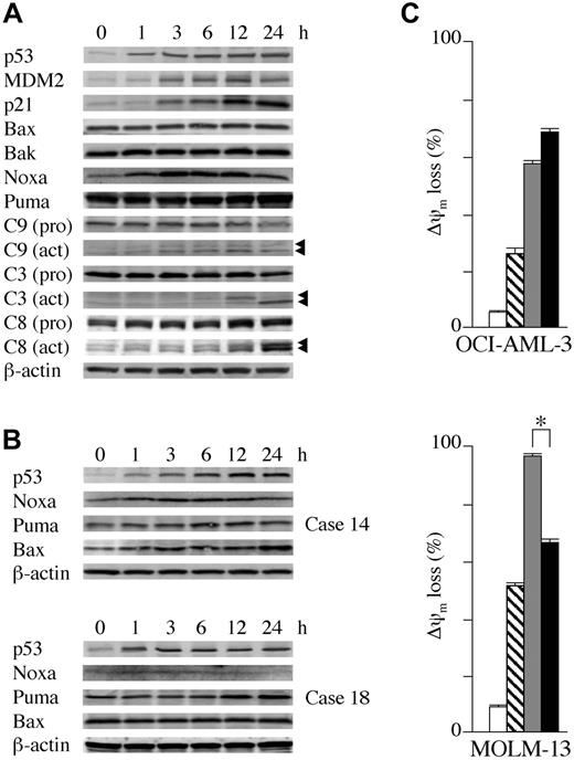 Figure 4. Transcriptional activation of proapoptotic Bcl-2 family proteins and transcription-independent apoptosis mediate Nutlin-induced apoptosis. (A) Expression of apoptosis- and cell-cycle–associated proteins in OCI-AML-3 cells, which were treated with 5 μM Nutlin-3a for the indicated times. Nutlin-3a induced increased protein expression of p53, MDM2, and p21 in OCI-AML-3 cells in a time-dependent fashion. Nutlin-3a induced Noxa, a BH3-only member of the Bcl-2 family, followed by caspase activation. β-actin was used to confirm equal loading of proteins. Arrowheads indicate cleared caspases. (B) Expression of proapoptotic Bcl-2 family proteins in primary AML cells, which were treated with 5 μM Nutlin-3a for the indicated times. Nutlin-3a induced at least 1 proapoptotic Bcl-2 family member protein in cells from 3 primary AML samples (nos. 6, 14, and 18 in Table 1) examined. Nutlin-3a induced Noxa, Puma, and Bax up-regulation in case 14 (top panel), Puma in case 18 (bottom panel), and Noxa in case 6 (not shown). β-actin was used to confirm equal loading of proteins. (C) OCI-AML-3 cells or MOLM-13 cells at a starting concentration of 2 × 105 cells/mL were cultured for 24 hours in the presence of DMSO (□), 3.5 μM cycloheximide (▧), 10 μM Nutlin-3a (▦), or a combination of cycloheximide and Nutlin-3a (▪). Δψm was assessed by flow cytometry. Results are expressed as mean ± SD of triplicate measurements. Comparable results were obtained in 2 other independent experiments. *P < .05.