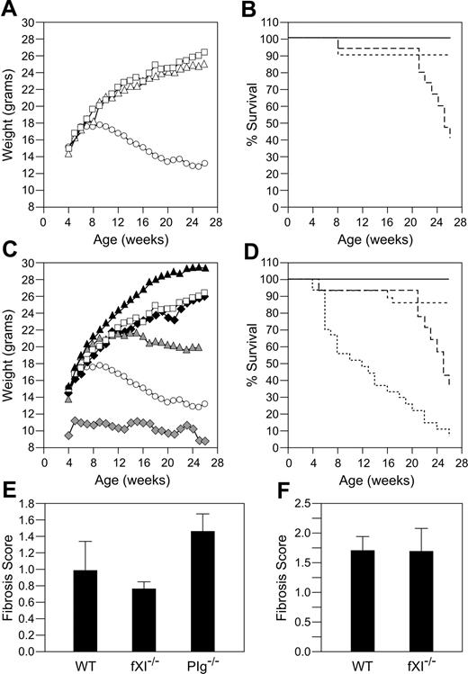Figure 1. Effects of fIX or fXI deficiency on growth and longevity in Plg–/– mice. (A) Plg null allele and weight. Shown are average weights for 9 Plg+/+ (□), 19 Plg+/– (▵), and 14 Plg–/– (○) mice followed from birth to age 6 months. Error bars are not shown because of space limitations in the figure. (B) Plg null allele and survival. Shown is survival for Plg+/+ (solid line), Plg+/– (dotted line), and Plg–/– (dashed line) mice in panel A. (C) Effect of fIX or fXI deficiency on weight in Plg–/– mice. Shown are average weights for 19 wild-type (□) and 14 Plg–/– (○) mice (as in panel A) and 21 Plg+/+/fIX–/– (▴), 24 Plg+/+/fXI–/– (♦), 24 Plg–/–/fIX–/– (♦), and 25 Plg–/–/fXI–/– (▴) mice followed from birth to age 6 months. (D) Effect of fIX or fXI deficiency on survival in Plg–/– mice. Survival is shown for wild-type, Plg+/+/fIX–/–, and Plg+/+/fXI–/– mice (all represented by solid line) and Plg–/– (long-dashed line), Plg–/–/fIX–/– (short-dashed line), and Plg–/–/fXI–/– (dotted line) mice. Average weights in panels A and C are for surviving animals at each time point. Animals with the most significant weight loss die early and are not counted at subsequent time points. Lung fibrosis induced by 0.04 units (E) or 0.08 units (F) of intratracheal bleomycin. Lung fibrosis scores ± SEM were obtained 3 weeks after administration of bleomycin for wild-type (n = 6) and fXI–/– (n = 5) mice, as described in “Study design.” Results for Plg–/– mice (n = 6) are shown for comparison in the 0.04 unit experiment.