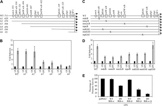 Figure 3. NF-κB and GAS elements are important for LPS-induced activation of the CD40 promoter. (A) Deletion constructs of the human CD40 promoter. (B) RAW264.7 cells were transiently transfected with 0.2 μg of the indicated constructs, then treated with medium or LPS (10 ng/mL) for 12 hours and analyzed for luciferase activity. Values were normalized to total protein, and fold induction was calculated by dividing the LPS treatment values by UN levels. Data are presented as mean ± SD of 3 experiments. (C) Site-directed mutant constructs of NF-κB and GAS elements in the human CD40 promoter. (D) RAW264.7 cells were transiently transfected with 0.2 μg of the indicated constructs, allowed to recover for 4 hours, then were treated with medium or LPS (10 ng/mL) for 12 hours and analyzed for luciferase activity. Fold induction was calculated and presented as mean ± SD of 3 experiments. (E) RAW264.7 cells were transiently cotransfected with the WT CD40 promoter construct (0.2 μg) and expression vectors containing WT or double negative (DN) of IKK-α or IKK-β cDNA (0.1 μg), then they were treated with LPS (10 ng/mL) for 12 hours and analyzed for luciferase activity. Differences in the amount of DNA were adjusted with the empty vector pcDNA3. Data are presented as mean ± SD of 3 experiments.