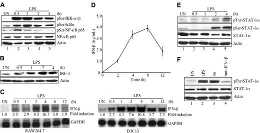 Figure 4. NF-κB and STAT-1α signaling pathways are activated by LPS. (A) RAW264.7 cells were incubated in the absence or presence of LPS (10 ng/mL) for up to 4 hours. Protein lysates were prepared and subjected to immunoblotting with anti–phospho-IKK-α/βSer180/Ser181, anti–phospho-IκBαSer32, and anti–phospho-NF-κB p65Ser536, stripped and reprobed with anti–NF-κB p65 and antiactin as loading controls. (B) RAW264.7 cells were incubated in medium or LPS (10 ng/mL) for up to 4 hours, lysed, and assayed for expression of IRF-3 protein. Actin protein expression was used as a loading control. (C) RAW264.7 or EOC13 cells were treated with LPS (10 ng/mL) for up to 12 hours, then RNA was isolated and subjected to RPA analysis for IFN-β and GAPDH mRNA expression. (D) RAW264.7 cells were treated with LPS (10 ng/mL) for up to 12 hours, then supernatants were collected and subjected to ELISA analysis for IFN-β protein expression. Data are presented as the mean ± SD of 3 experiments. (E) RAW264.7 cells were incubated in medium or LPS (10 ng/mL) for up to 4 hours, then cell lysates were prepared and subjected to immunoblotting with anti–phospho-STAT-1αTyr701 and anti–phospho-STAT-1αSer727, stripped, and reprobed with anti–STAT-1α and antiactin as loading controls. (F) RAW264.7 cells were treated with medium or LPS (10 ng/mL) in the absence or presence of 10 μg/mL isotype antibody or IFN-β–neutralizing antibody for 4 hours. Cell lysates were prepared and subjected to immunoblotting with anti–phospho-STAT-1αTyr701. Total STAT-1α and actin protein expression were used as loading controls. Representative of 3 experiments.