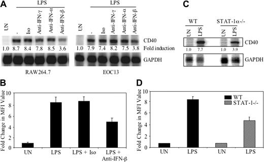 Figure 5. Endogenous IFN-β is important for optimal LPS-induced CD40 expression. (A) RAW264.7 or EOC13 cells were treated with medium or LPS (10 ng/mL) in the presence of 10 μg/mL isotype antibody or neutralizing antibodies against IFN-γ, IFN-α, or IFN-β for 4 hours (RAW264.7 cells) or 8 hours (EOC13 cells). RNA was harvested and analyzed by RPA for CD40 and GAPDH mRNA. Representative of 3 experiments. (B) RAW264.7 cells were treated with medium or LPS (10 ng/mL) in the absence or presence of 10 μg/mL isotype antibody or IFN-β–neutralizing antibody for 36 hours. CD40 protein expression was detected by flow cytometry. Samples were analyzed by measuring MFI. Fold change in CD40 MFI value was calculated and shown as the mean ± SD of 3 experiments. (C) Primary microglia from WT and STAT-1α–deficient mice were treated with LPS (10 ng/mL) for 4 hours, and then mRNA was analyzed by RPA for CD40 and GAPDH expression. (D) Primary microglia from WT and STAT-1α–deficient mice were treated with LPS for 36 hours, then cells were subjected to FACS analysis for CD40 protein expression. Fold change in CD40 MFI value was calculated and shown as the mean ± SD of 3 experiments.