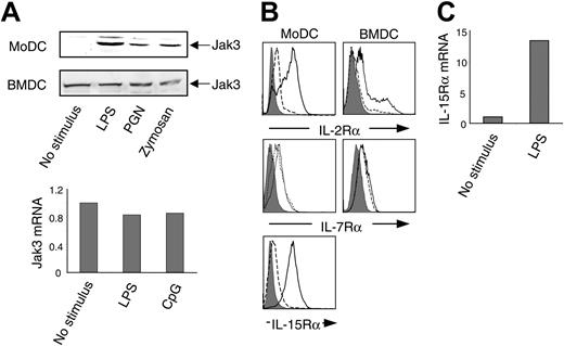 Figure 1. Regulation of γc cytokine receptors and Jak3 in DCs. (A) Jak3 expression in activated DCs. Human MoDCs (top) and murine BMDCs (middle and bottom) were stimulated with LPS (1 μg/mL), PGN (5 μg/mL), or zymosan A (5 μg/mL) for 24 hours. Cell lysates (100 μg) were electrophoresed and blotted with anti-Jak3 antibody. Jak3 mRNA was assessed by real-time PCR in murine BMDCs stimulated with LPS (1 μg/mL) or CpG oligonucleotides (oligos) (1 μg/mL) for 6 hours (bottom). (B) Human MoDCs and murine BMDCs were stimulated with LPS (1 μg/mL) for 24 hours, stained with FITC-labeled antibodies, and then analyzed by flow cytometry. Broken line indicates unstimulated cells; solid line, activated cells. Cells stained with an isotype control antibody are depicted in the shaded histogram. (C) IL-15Rα expression by murine BMDCs was measured by real-time PCR in cells treated with LPS (1 μg/mL) for 6 hours or left unstimulated.