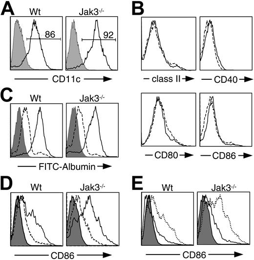 Figure 3. Normal development and function of Jak3-/- BMDCs. (A) Normal in vitro generation of CD11c+ BMDCs from Jak3-/- mice. Bone marrow cells from wild-type (left) and Jak3-/- (right) mice were cultured for 7 days with GM-CSF and IL-4. The resultant cells were stained with anti-CD11c antibody (solid line). Shaded histograms represent samples stained with an isotype control. (B) Jak3-/- BMDCs have normal expression of costimulatory and MHC molecules. Purified Jak3-/- (solid line) and wild-type (broken line) BMDCs (> 90% CD11c+) were stained with the indicated antibodies after 7 days of culture in GM-CSF and IL-4. (C) Normal micropinocytosis by Jak3-/- BMDCs. BMDCs from wild-type and Jak3-/- mice were pulsed with 5 μg/mL FITC-conjugated albumin for 60 minutes. Broken line indicates background uptake of cells incubated at 0°C; solid line, albumin uptake at 37°C. The shaded histograms represent samples in which FITC-conjugated albumin was omitted. (D) Normal induction of CD86 in Jak3-/- BMDCs. BMDCs from wild-type and Jak3-/- mice were stimulated with CD40L-bearing cells (NIH3T3CD40L) and LPS (1 μg/mL) for 24 hours (solid line) and analyzed for CD86 expression compared with unstimulated cells (broken line). Shaded histograms are samples stained with an isotype control antibody. (E) Nonspecific inhibition of CD86 expression by WHI-P-154. Wild-type and Jak3-/- BMDCs were pretreated with dimethyl sulfoxide (DMSO; broken line) or WHI-P-154 (10 μg/mL; solid line) for 30 minutes, stimulated with CD40L and LPS for 24 hours, and stained with anti-CD86. Note that the putative Jak3 inhibitor effectively blocked CD86 expression in Jak3-/- cells, indicative of nonspecific effects.