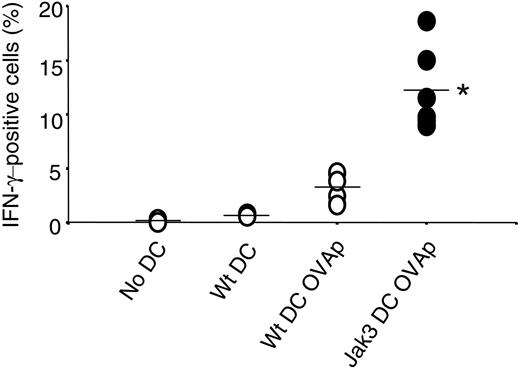 Figure 6. Exaggerated Th1 development by Jak3-/- BMDCs. CD4+ T cells (3 × 106) from OTII transgenic mice (CD45.2+) were injected intravenously into C57BL/6 congenic mice (CD45.1+). Concomitantly, wild-type and Jak3-/- BMDCs cultured with or without OVA peptide (OVAp, 1 μM) for 2 hours were injected into footpads. Three days later, draining lymph nodes were obtained. Then cells were isolated and restimulated in vitro with anti–mouse CD28 and OVAp (1 μM). The frequency of IFN-γ–producing cells was assessed by gating on CD45.2+CD4+ cells staining for intracellular IFN-γ. Each circle indicates an individual mouse, and the mean is depicted by a horizontal line. **P < .001 compared with wild-type BMDCs pulsed with OVAp; n = 5.