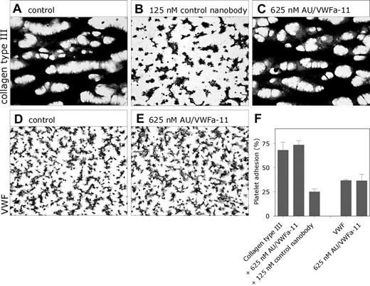 Figure 4. Different binding sites for GpIbα and AU/VWFa-11. (A-C) Whole blood was perfused over coverslips coated with collagen type III (30 μg/cm2 in 0.05 M/L acetic acid) in the absence (A) or presence (B) of the control nanobody (125 nM) or AU/VWFa-11 (625 nM, C) at a shear rate of 1600 s–1 (D-E) Reconstituted blood was perfused over coverslips coated with pd VWF (15 μg/mL) in the absence (D) or presence of 625 nM AU/VWFa-11 (E) at a shear rate of 1600 s–1. After perfusion, adhered platelets were fixed in 0.5% glutaraldehyde in PBS, dehydrated in methanol, and stained with May-Grünwald-Giemsa. Platelet aggregates are represented by the dark regions. (F) Platelet adhesion was evaluated using computer-assisted analysis and was expressed as the percentage of surface covered with platelets (n = 3). Adhered platelets were visualized using light microscopy (Leitz Diaplan; Leica, Rijswijk, the Netherlands) and computer-assisted analysis (AMS 40-10; Saffron, Walden, United Kingdom). Original magnification was 400 × (40 ×/1.00 NA objective lens).