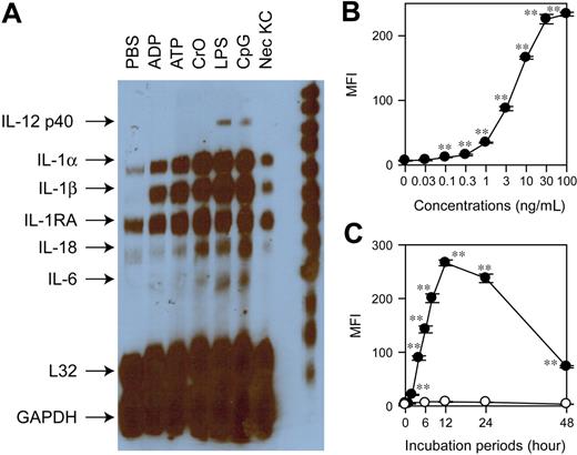 Figure 1. Development and characterization of DC biosensor system. (A) XS106 DCs were incubated for 6 hours with the indicated agents, including necrotic keratinocyte preparations (Nec KC), and then examined for cytokine mRNA profiles by RNase protection assay. (B) The XS106-pIL1-YFP DC biosensor clone was incubated for 16 hours with LPS at the indicated concentrations and then examined for the mean fluorescence intensity (MFI) for YFP signals (mean ± SD from triplicate samples). (C) The same clone was incubated with 30 ng/mL LPS (•) or PBS alone (○) for the indicated periods and then examined for YFP expression (mean ± SD; n = 3). Asterisks indicate statistically significant (**P < .01) differences compared with the nontreated control samples. Data shown in this figure are representative of at least 3 independent experiments producing similar results.