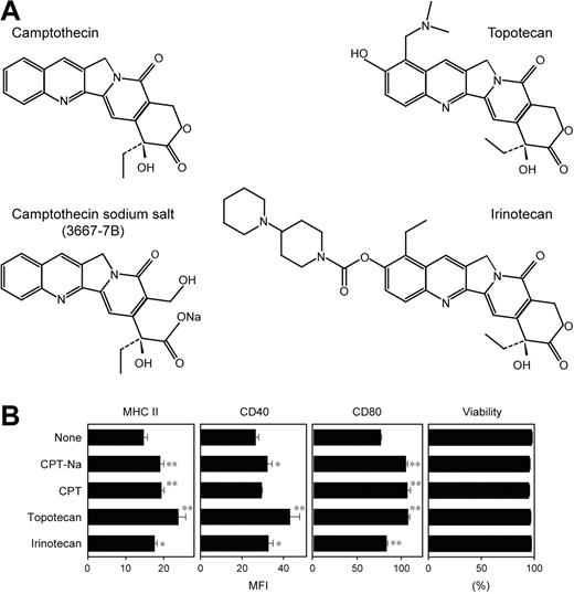 Figure 4. In vitro impacts of CPT derivatives on DCs. (A) Chemical structures of the 4 tested CPT derivatives are shown. Compound 3667-7B was decoded to be CPT-Na. (B) BM-DCs were incubated for 24 hours with each CPT derivative at 1 μM or vehicle alone and then examined for the surface expression of MHC II, CD40, and CD80 and for cell viability by PI uptake (mean ± SD; n = 3). Asterisks indicate statistically significant (*P < .05, **P < .01) increases compared with vehicle-treated controls.