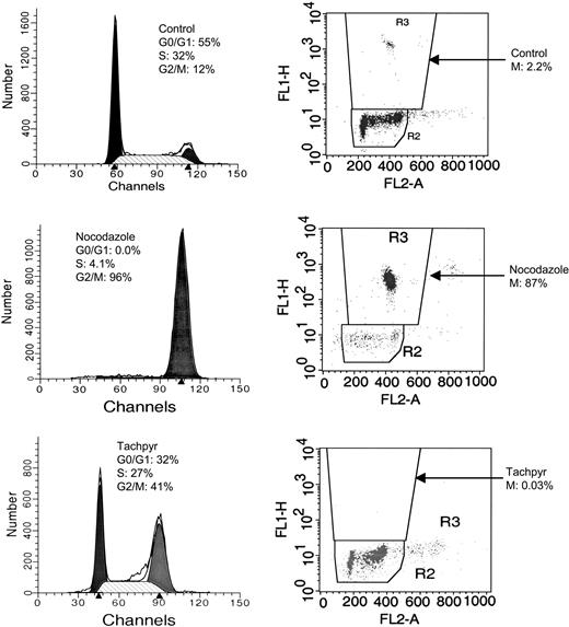 Figure 2. Tachpyridine induces cell-cycle arrest in the G2 phase of the cell cycle. HeLa cells treated with 7.5 μM tachpyridine for 18 hours were double-labeled for the M-phase marker phosphorylated H3 and for DNA content, followed by flow cytometry analysis. Untreated controls (top) show 12% of cells in G2/M by propidium iodide (PI) staining and 2.2% of those cells in mitosis. Cells treated with 50 ng/mL nocodazole, an M-phase arrestor, show 96% of cells in G2/M by PI staining and 87% of those cells in mitosis (middle). Tachpyridine-treated cells (bottom) display 41% of cells in G2/M by PI staining, and only 0.03% of cells in mitosis, consistent with the induction of a G2- and not M-phase arrest.