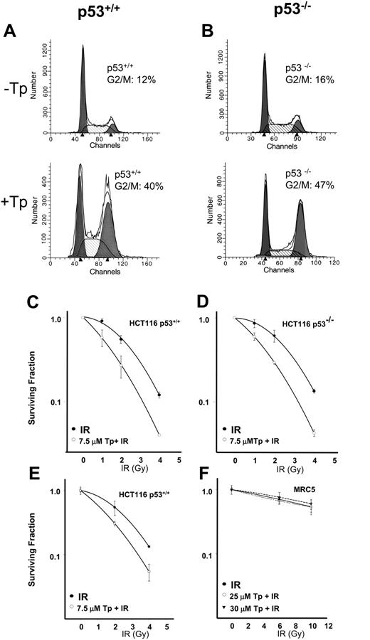 Figure 3. Tachpyridine induces G2/M arrest and radiosensitizes HCT 116 TP53+/+ and HCT 116 TP53-/- cells but does not radiosensitize normal diploid fibroblasts. (A) HCT 116 TP53+/+ or (B) HCT 116 TP53-/- cells were treated with 10 μM tachpyridine for 24 hours, and cell-cycle distribution was determined by flow cytometry. (C) HCT 116 TP53+/+ or (D) HCT 116 TP53-/- cells were pretreated with 7.5 μM tachpyridine for 12 hours, followed by irradiation at 1, 2, and 4 Gy, and clonogenic survival was determined as described in “Materials and methods.” (E) HCT 116 TP53+/+ cells were pretreated with 7.5 μM tachpyridine for 12 hours, followed by irradiation at 1, 2, and 4 Gy, and viability was determined by the MTT assay as described in “Materials and methods.” (F) MRC5 fibroblast cells were pretreated with 25 or 30 μM tachpyridine for 12 hours, followed by irradiation at 6 and 10 Gy, and viability was determined by the MTT assay. Data shown are the mean and SE of 3 independent experiments performed in triplicate.