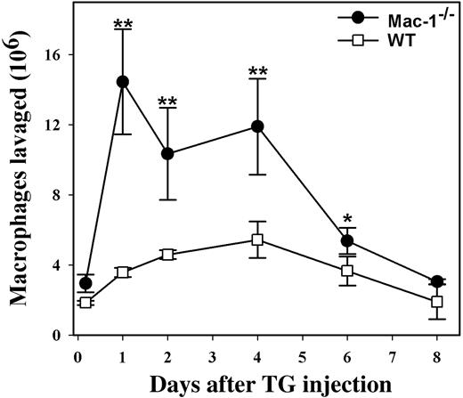 Figure 1. Enhanced monocyte accumulation within the peritoneum of Mac-1-/- mice. WT (□, n = 4) and Mac-1-/- mice (•, n = 4) were injected intraperitoneally with sterile TG to elicit monocyte infiltration into the peritoneum. At different times after TG injection, peritoneal lavages were performed. The total number of leukocytes in the lavage was determined with a Coulter counter, and the percentage of monocytes/macrophages was determined by FACS analysis using mAb F4/80 and by Hema3 staining of Cytospin smears. Monocyte accumulation in the peritoneal cavity was enhanced in Mac-1-/- mice (•) compared to the control WT mice (□), whereas the reduction in peritoneal macrophages, possibly due to their spontaneous efflux out of the peritoneum, between day 4 and 8 was similar. The data represent the mean ± SD of 3 mice. WT versus Mac-1-/-: **P < .005; *P < .02.