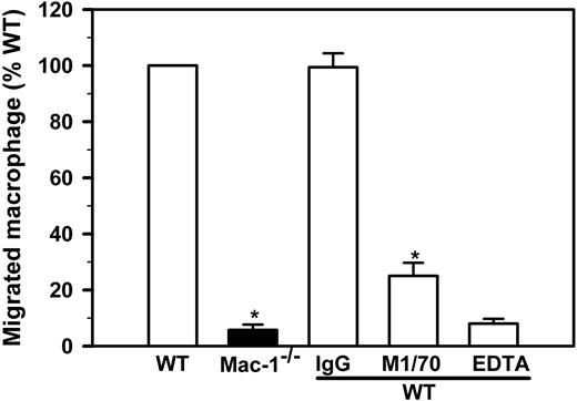 Figure 5. Macrophage migration in vitro requires Mac-1. Migration of LPS-stimulated WT (open bars) and Mac-1-/- (filled bar) peritoneal macrophages was determined using transwell plates with a 5-μm pore insert in the presence or absence of anti-Mac-1 (M1/70), control IgG (IgG) or EDTA. The total number of macrophages within the lower chamber was determined manually by hemocytometer and normalized for the percentage of macrophages based on Hema3-staining of Cytospin smears. The number of migrated WT macrophages is assigned to 100%. The data represents mean ± SD of 3 to 5 independent experiments. *P < .001 for WT versus Mac-1-/- and M1/70 versus IgG.