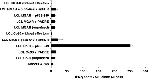 Figure 5. Subtype-specific dissection of the HLA-DR restriction of the p635-649 induced T-cell response. Using allogeneic LCLs (3 × 104/well) with different HLA-DR subtypes as APCs for cells (500/well) of the p635-649–specific CD4%+ T-cell clone 60 allowed determining the HLA-DR subtype-specific restriction of the anti–p635-649 reaction. The HLA-DR set-up of the 3 LCLs derived from Co90, Co7, and MGAR, respectively (Table 3), identified HLA-DRB1*1401 as the restricting subtype because in the allogeneic setting only LCLs from Co 90 induced significant IFN-γ production (P < .01) in response to the HOM-TES-14/SCP1–derived epitope p635-649 in T cells from clone 60.