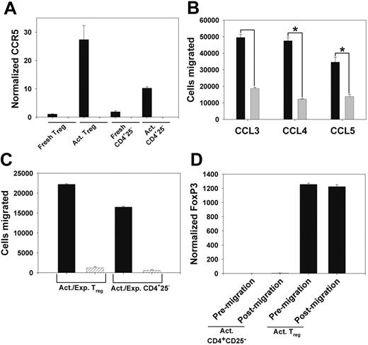 Figure 1. Functional expression of CCR5 on Tregs. (A) QPCR assessment of CCR5 expression in column-purified T CD25- T cells from WT (▪) and CCR5-/- (▨) mice. Shown is CCR5 expression in freshly isolated cells, and cells cultured as in “Materials and methods.” Data are mean ± the standard error of the mean (SEM). (B) WT Tregs (▪) and CD4+CD25- T cells (▦) were cultured as in panel A, and migration in response to 10 ng/mL CCL3, CCL4, and CCL5 was determined. Data are mean ± SEM. *P < .05. (C) Chemotaxis of WT (▪) and CCR5-/- (▨) Tregs and CD4+CD25- T cells, cultured as above, in response to 100 ng/mL CCL4. Data are mean ± SEM. (D) QPCR analysis of FoxP3 mRNA expression in cultured WT Tregs and CD4+ regs and CD4+ CD25- T cells prior to chemotaxis and in cells that migrated in response to 100 ng/mL CCL4. Data are mean ± SEM.