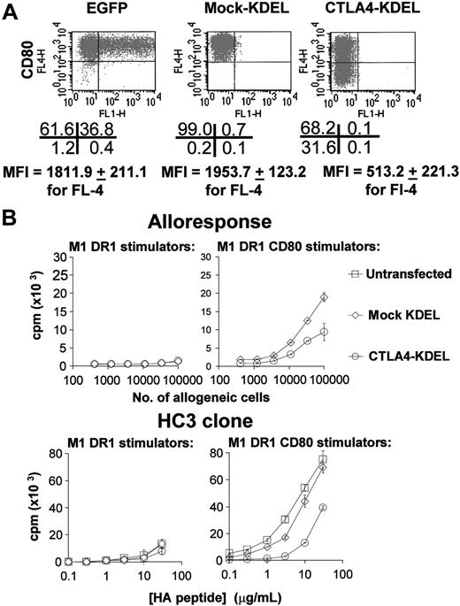 Figure 1. Transient transfection of CTLA4-KDEL into artificial APCs reduces their ability to stimulate T cells. (A) M1 cells already transfected with DR1 and CD80 (M1 DR1 CD80) or cells transfected with DR1 alone (M1 DR1) were transiently transfected with mock-KDEL and CTLA4-KDEL constructs or with pCMV/EGFP encoding EGFP. CD80 (FL-4) or EGFP (FL-1) expression was determined by flow cytometry. The number of cells in each quadrant and mean fluorescence intensity (MFI) for CD80 expression are shown below (mean ± SD of 5 independent experiments). (B) The same transfected cells were used as stimulators in a MLR or peptide-specific T-cell response. For the mixed lymphocyte response, various numbers of stimulators were used, and proliferation was determined by 3H-thymidine incorporation after 5 days. The HC3 T-cell clone was used to test a peptide-specific response using the HA peptide at a range of concentrations with 3H-thymidine incorporation being assessed after 3 days. The results are representative of at least 5 independent experiments and show the mean ± SD of triplicate cultures.