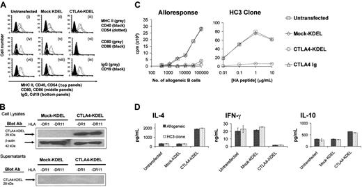 Figure 2. Stable transfection of CTLA4-KDEL into B cells inhibits their ability to stimulate T cells. (A) HLA-DR1–expressing B cells were stably transfected with CTLA4-KDEL and mock-KDEL. The expression of CD40, CD54, and MHC II (i-iii), CD80 and CD86 (iv-vi), IgG and CD19 (vii-ix) was analyzed by flow cytometry. Staining with isotype matched control antibodies is shown in the solid profile. (B) Expression of the 29-kDa CTLA4-KDEL in cell lysates and supernatants of HLA DR1- or HLA DR11-expressing B cells transfected with either CTLA4-KDEL or mock-KDEL was determined by Western blotting using Ab against the c-myc protein tag incorporated in the construct. β-Actin was used as a housekeeping control. (C) HLA-DR1–expressing-B-cell lines that were either untransfected or transfected with the mock-KDEL or the CTLA4-KDEL plasmid were used as stimulators in a MLR and for a peptide-specific response. In the MLR, 10 μg/mL CTLA4-Ig was used as a control, and 3H-thymidine incorporation was determined after 5 days. The HC3 T-cell clone was used to test the peptide-specific response, and the B cells were incubated with different concentrations of HA peptide. 3H-thymidine incorporation was determined after 3 days. The results are representative of at least 3 experiments. (D) Culture supernatants from the HC3 clone and allogeneic T cells were collected on day 2 and 4, respectively, after coculture with HLA-DR1–expressing B cells that were either untransfected or stably transfected with CTLA4-KDEL or mock-KDEL. The levels of IL-4, IFN-γ, and IL-10 were measured using ELISA. The results are mean ± SD of 3 independent experiments.