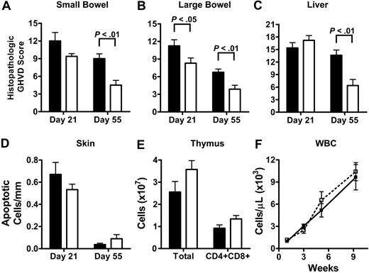 Figure 2. CCR2-/- CD8+ T cells cause less gut and liver damage than WT CD8+ T cells while no difference is observed for skin, thymus, and bone marrow. Lethally irradiated (1300 cGy) C3FeB6F1 mice received 5 × 106 TCD WT BM cells in combination with 3 to 4.5 × 106 WT (▪) or CCR2-/- (□) CD8+ T cells. (A-C) Small bowel, large bowel, and liver were taken on day 21 and day 55. Hematoxylin and eosin–stained slides were analyzed and scored for histopathologic damage. Shown is the mean ± SEM for 8 to 10 mice per group per time point. (D) Skin GHVD was determined on day 21 and day 55 by the number of apoptotic keratinocytes/mm epidermis. Shown is the mean ± SEM for 8 to 10 mice per group per time point. (E) Thymic cellularity (total cell counts and CD4+CD8+ thymocytes) was determined by FACS on day 21. Shown is the mean ± SEM for 7 mice per group. (F) Peripheral blood was obtained at weeks 1, 3, 5, and 9 after BMT and CBCs were determined. Shown is the mean ± SEM for WBC counts for 7 to 10 mice per group per time point.