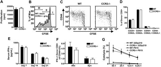 Figure 4. Alloreactive CCR2-/- CD8+ T cells have intact proliferation, activation, IFN-γ production, and cytolytic activity. (A) MLR with WT and CCR2-/- CD8+ T-cell effectors and irradiated C3FeB6F1 stimulators. Bars represent mean ± SEM for specific proliferation of 12 replicate wells from one representative experiment out of 3; cpm indicates counts per minute. (B,C) Sublethally irradiated (900 cGy) C3FeB6F1 mice received CFSE-labeled WT or CCR2-/- T cells. Recipient spleens were harvested after 72 hours for FACS analysis. Data shown are from one representative mouse out of 4 mice from 2 experiments. (B) Histogram overlays for CFSE-labeled WT (black line) and CCR2-/- (gray area) donor CD8+ T cells. Markers indicate nonproliferative cells (I), slow-proliferative cells (II), and fast-proliferative T cells (III). (C) Dot plots of CFSE and CD44 expression on WT and CCR2-/- donor CD8+ T cells. (D-G) Lethally irradiated (1300 cGy) C3FeB6F1 received 5 × 106 TCD WT BM cells in combination with 3 × 106 WT (▪) or CCR2-/- (□) CD8+ T cells. (D) Recipient spleens were harvested at day 7 for FACS analysis of CD25, CD44, and CD62L expression. Shown is the mean ± SEM for 4 mice per group. (E) Serum cytokine levels were measured by ELISA at indicated time points. Shown is the mean ± SEM for 8 to 12 mice per group per time point. (F) Recipient spleens were harvested at day 7 and restimulated for 12 hours with irradiated TCD C3FeB6F1 splenocytes. Cells were subsequently stained for intracellular IFN-γ. Shown is the mean ± SEM for 4 mice per group. (G) Mice were killed on day 7, and splenocytes were used as effectors in a 51Cr cytotoxicity assay. Targets were allogeneic 32Dp210 and third party P815. Shown is the mean specific lysis ± SEM for 4 mice per group.