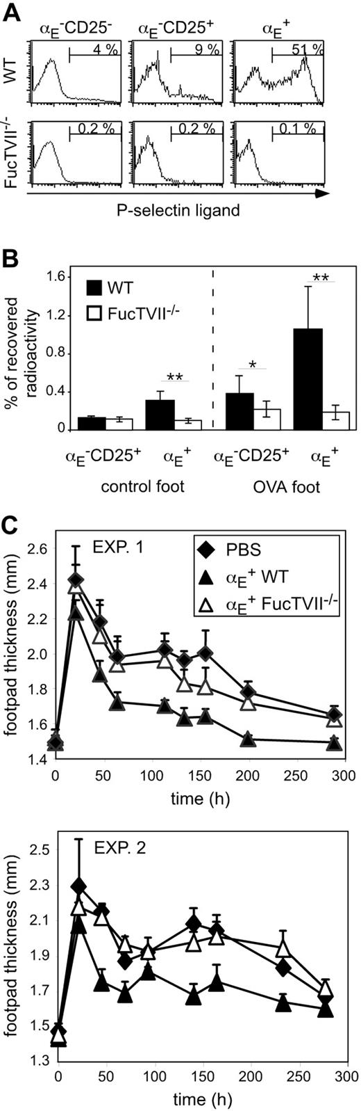 Figure 2. FucTVII–/ – αE+ Tregs cannot enter the inflamed footpad and show no suppression of the Th1-mediated DTH reaction. (A) Expression of P-selectin–binding ligands on indicated CD4+ T-cell subsets from DO11.10 (WT) and DO11.10×FucTVII–/–mice is shown. Representative histogram plots from 3 independently analyzed mice were selected. Numbers indicate frequency of P-selectin–binding cells. (B) In vitro preactivated Treg subsets from DO11.10 (WT) and DO11.10×FucTVII–/– mice were radioactively labeled with 111In and injected intravenously into BALB/c mice, in which 24 hours before a DTH response had been induced, followed by the determination of radioactivity in the indicated organs after 24 hours using a γ counter. Percentage of total recovered radioactivity is shown (n = 12; mean ± SD; data pooled from 2 independent experiments; **P < .01). (C) In vitro generated Th1 cells (5 × 105) were injected intravenously together with 2.5 × 105 FACS-sorted and preactivated αE+ Tregs from DO11.10 (WT) and DO11.10 × FucTVII–/– mice. Twenty-four hours later the DTH response was induced. Shown is the progression of the inflammatory response monitored by the thickness of footpads injected with OVA/IFA (mean ± SD; n = 6). Two individual experiments are depicted. The αE+ Tregs from FucTVII–/– mice showed a significantly reduced suppressive capacity compared to αE+ Tregs from WT mice (P < .01, repeated measure analyses).
