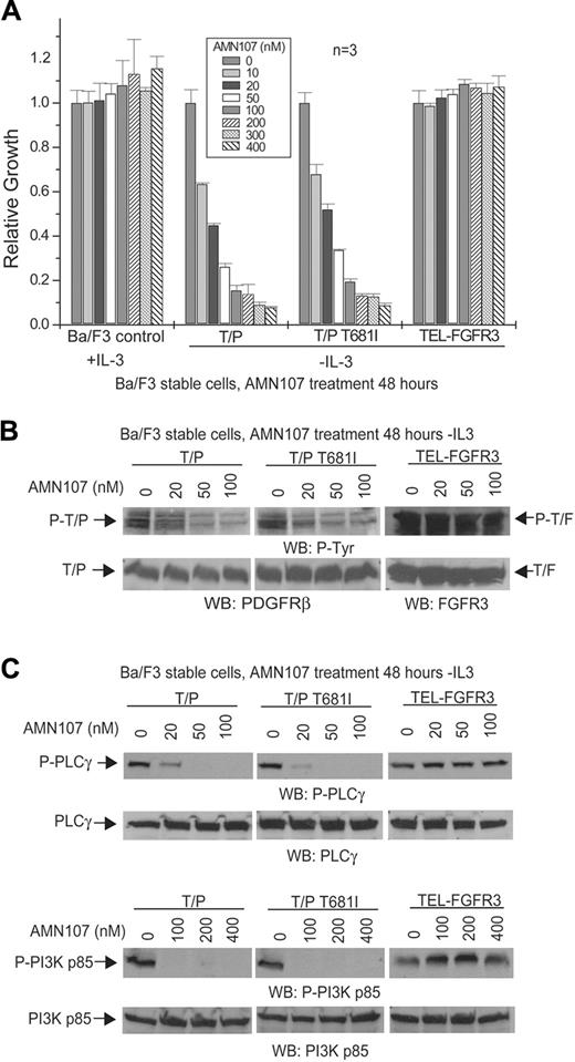 Figure 2. AMN107 inhibits TEL-PDGFRβ in vitro. (A) Dose-dependent effects of AMN107 on growth of TEL-PDGFRβ–transformed Ba/F3 cells. Ba/F3 cells stably transduced with the indicated constructs were treated with AMN107 for 48 hours in the absence of IL-3, and the proliferation of treated cells relative to untreated cells was determined. Ba/F3 control cells were treated in the presence of IL-3. Values reflect mean of 3 samples; error bars show standard deviation. T/P indicates TEL-PDGFRβ; T/F, TEL-FGFR3. (B) Analysis of phosphorylation of TEL-PDGFRβ in response to AMN107. TEL-PDGFRβ– or TEL-FGFR3–transformed Ba/F3 cells were incubated with increasing concentrations of AMN107 in the absence of serum and IL-3, and whole-cell lysates were prepared for Western blotting with antiphosphotyrosine and anti-PDGFRβ or anti-FGFR3. (C) Analysis of phosphorylation of downstream effectors of TEL-PDGFRβ. Whole-cell lysates from Ba/F3 cells transformed with the indicated constructs were analyzed for phosphorylation of PLCγ and PI3K, downstream effectors of PDGFRβ signaling.