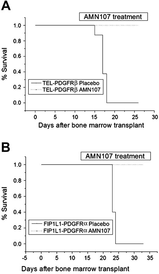 Figure 4. AMN107 prolongs survival of animals with myeloproliferative disease induced by TEL-PDGFRβ or FIP1L1-PDGFRα in a murine bone marrow transplantation model. Bone marrow cells of donor mice were transduced with retrovirus expressing either TEL-PDGFRβ (A) or FIP1L1-PDGFRα (B) and transplanted into lethally irradiated recipients. Animals were monitored for appearance of disease and were killed when moribund. The plot shows cumulative disease-free survival of mice that received a transplant with cells expressing each fusion kinase and treated with either AMN107 (75 mg/kg/d) or placebo, starting at day 11 after transplantation. An increase in survival in the AMN107-treated group was statistically significant for both TEL-PDGFRβ and FIP1L1-PDGFRα (P < .001); n = 8 for TEL-PDGFRβ and n = 5 for FIP1L1-PDGFRα.