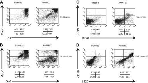 Figure 6. Flow cytometric analysis of spleen of AMN107- and placebo-treated mice. Flow cytometry of spleen cells from mice with TEL-PDGFRβ (A,C) or FIP1L1-PDGFRα (B,D) disease treated with placebo (left) or AMN107 (right). Cells were stained with Gr-1 and Mac-1 for myeloid cells (A-B) or B220 and CD19 for B lymphoid cells (C-D). A total of 10 000 events were recorded from the population of cells that was both viable (based on forward and side scatter and on absence of 7AAD staining) and GFP+. Representative dot plots from 1 of 2 mice analyzed are shown; below the plots are the percentages of cells in each quadrant.