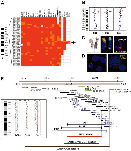 Figure 1. Delineation of a common interval of deletion of 0.6 Mb in 8p21.3 in B-cell lymphomas. (A) Array CGH analysis shows deleted clones (red), genomic gains (green), nondeleted probes (white), and noninformative clones (orange). Asterisks indicate the clones used for verifying array CGH results by FISH analysis in selected cell lines. (B) Array CGH analysis of chromosome 8 in PR1 and Z138 cell lines, and in patient P005, showing genomic deletions in 8p21 undetected using conventional CGH. (C) G-banding cytogenetic, FISH, and SKY (spectral karyotyping) analyses show deletion of chromosome 8p and translocation of the remaining nondeleted allele in OCI-Ly8 cell line in a complex translocation. (D) FISH analysis of 8p21.3 deletion using BAC RP11-89M8 (green) and a centromeric chromosome 8 probe (red). The examples correspond to 2 patients with transformed splenic marginal zone lymphoma (left) and DLBCL (right). (E) Map of chromosome 8p21.3 including the clones used for narrowing down the commonly deleted interval by array CGH, SMRT array, and FISH (black) (UCSC, May 2004 freeze).53 Inset shows the SMRT array CGH analysis of 2 selected cell lines and one primary tumor.