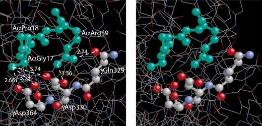 Figure 6. A stereo figure showing the residues GPR, corresponding to the fibrin α-chain N-terminus, bound to the polymerization pocket in the globular γ-chain portion of fragment D19 and depicting the actual bond lengths (Å). The GPR sequence of the GPRPam peptide mimics the working part of A-knob composed of the amino acid residues (Aα17-19) exposed after cleavage of FpA. The a-hole is represented by 3 selected amino acid residues (γ329, γ330, and γ364) that are directly involved in the interaction.1,9 Considering GPRP the “surrogate A-knob”17 it is likely that the driving force of the A:a binding are the multiple electrostatic and hydrogen bonds between the α-amino group of AαGly17 and the guanidinium group of AαArg19 of an A-knob, on the one hand, and γAsp330 and γAsp364 along with carboxyamide of γGln329 of an a-hole, on the other hand. This aggregate of bonds stabilizing the A:a coupling is abruptly broken as soon as the knob and the hole are pulled apart to a distance of about 3 Å.