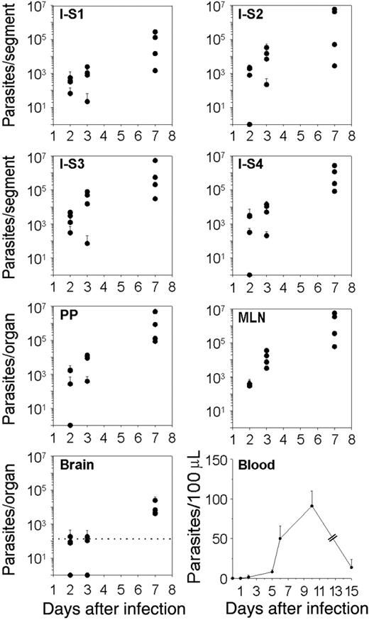 Figure 1. Kinetics analysis of T gondii dissemination in C57BL/6 mice. Parasites were tracked using quantitative real-time PCR. Number of parasites per intestine, PP, MLN, and brain. The small intestine was cut into 4 equal-size segments (S), the S1 and S4 being proximal and distal to the stomach, respectively. The dot line represents the cut-off of sensitivity for the assay in the brain. Number of parasites per 100 μLof blood were estimated. Values represent mean number plus SD for 4 mice per group and 2 separate experiments.