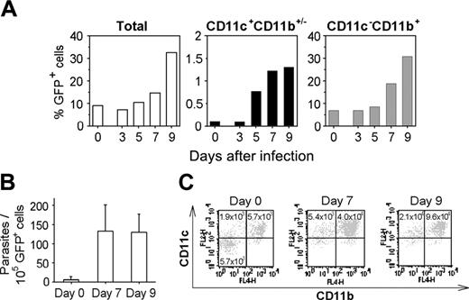 Figure 6. CD11c+CD11b+/- cells deliver T gondii into the brain. (A) Accumulation of CD11c+CD11b+/- and CD11c-CD11b+ cells in the brain of infected C57BL/6 mice previously engrafted with GFP+ bone marrow cells. (B) Number of parasites harbored by GFP+ brain cells from naive or infected chimeric mice. Values represent mean number plus SD for 3 to 5 mice per group. (C) Dot plots of CD11c+ and CD11b+ GFP+ cells naive or infected chimeric mouse brains. Brain GFP+ cells were isolated by FACS and stained. Numbers are the total CD11c+ or CD11b+ GFP+ cells per brain. Data are from a single experiment, representative of 2 separate experiments.
