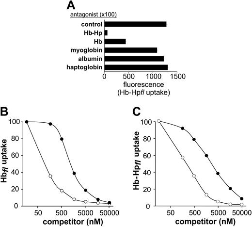 Figure 2. Hp complex formation enhances CD163-Hb interactions. (A) CD163+ HEK293 cells were incubated for 30 minutes with Hb-Hpfl (fl indicates the fluorescence protein) in the presence or absence (control) of potential competitor proteins. Whereas both Hb and Hb-Hp significantly inhibited the uptake of fluorescent Hb-Hpfl, none of the control proteins (myoglobin, albumin, and free haptoglobin) significantly inhibited fluorescent-ligand uptake when added in a 100-fold excess concentration. Data shown represent the mean ± SD of 3 replicate values from one representative experiment. (B-C) Native Hb (•) and Hb-Hp (○) competitively inhibited the uptake of fluorescent Hbfl (B) and Hb-Hpfl complexes (C). CD163+ HEK293 cells were incubated for 30 minutes with fluorescent ligand (50 nM) and the unlabeled competitor at the concentrations indicated. Irrespective of the fluorescent ligand used, the Hb-Hp complexes inhibited CD163-mediated ligand uptake approximately 10 times more efficiently than free Hb. Data shown are the means of 2 independent experiments performed in duplicate. Molar concentrations are indicated with respect to the amount of Hb dimer.