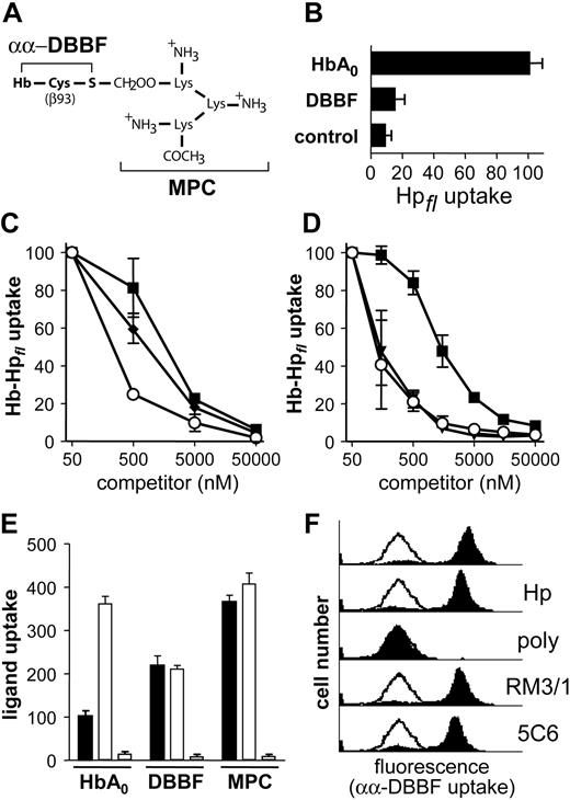 Figure 3. Hp independence of CD163-mediated Hb endocytosis revealed by αα-DBBF-Hb. (A) Molecular schematic of the β-Cys93 modification in αα-DBBF-Hb MPC. (B) CD163-HEK293 cells were incubated with 10 μg/mL Alexa-488 Hp in the presence or absence (control) of equimolar concentrations of HbA0 or αα-DBBF Hb. Unlike HbA0, αα-DBBF-Hb did not support the uptake of fluorescent Hp in CD163-HEK293 cells. (C) Uptake of Hb-Hpfl complexes (50 nM) by CD163-HEK293 cells was determined in the presence of increasing competitor concentrations of unlabeled human HbA0 (▪), αα-DBBF Hb (♦), and αα-DBBF Hb-MPC (○). (D) Identical experiments were performed with human HbA0 (▪), αα-DBBF Hb-MPC (○), and Hb-Hp complexes (▾) (Hp phenotype 2-2) as competitors. Although αα-DBBF-Hb has a slightly higher capacity to compete for fluorescent Hb-Hp uptake by CD163+ cells than native HbA0, the αα-DBBF-Hb MPC variant displayed ligand properties equal to those displayed by the Hb-Hp complexes. Data represent mean ± SD of 3 independent experiments. (E) HbA0, αα-DBBF-Hb (DBBF), and αα-DBBF-Hb MPCs (MPC) were all labeled with Alexa-633, and uptake by CD163-HEK293 was determined after incubation for 30 minutes at a concentration of 5 μg/mL (▪). Parallel samples were incubated in the presence of 20 μg/mL human Hp 2-2 (□) or 50 μg/mL polyclonal rabbit anti-human CD163 IgG (right bar of each group). Data represent mean ± SD of triplicate well samples from one representative experiment. (F) Uptake of Alexa-633-labeled αα-DBBF Hb (5 μg/mL) by CD163-HEK293 cells was determined after 30-minute incubation with or without added Hp 2-2 (10 μg/mL; Hp), polyclonal rabbit anti-human CD163 IgG (50 μg/mL; poly), or mouse anti-human CD163 monoclonal antibodies RM3/1 or 5C6-FAT (each at 50 μg/mL; RM3/1 and 5C6, respectively; filled curves). Open curves represent the fluorescence of a control sample obtained after concurrent incubation with a 300-fold excess of unlabeled HbA0.
