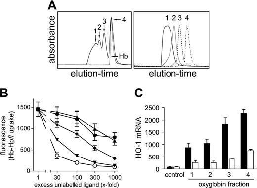 Figure 4. Molecular size of polymerized Hb negatively correlates with CD163 binding and Hb-induced HO-1 mRNA induction. (A) Four Oxyglobin fractions (fraction 1, 502 kDa; fraction 2, 272 kDa; fraction 3, 185 kDa; and fraction 4, 87 kDa) were isolated and purified using size-exclusion chromatography (left panel). Reanalysis of the purified fractions is shown in the right panel. (B) Each of the 4 oxyglobin fractions and native bovine Hb were tested for their ability to inhibit Hb-Hpfl (50 nM) uptake by CD163-HEK293 cells when applied in excess. Excess competitor concentrations were calculated by means of the absolute MW of the respective fraction. The increasing molecular size of each respective fraction is associated with diminished receptor interaction, as indicated by a decreased capacity to inhibit Hb-Hpfl uptake, even at high excess concentrations. ▴, fraction 1. •, fraction 2. (♦) fraction 3. ▾, fraction 4. ○, bovine Hb. (C) Heme oxygenase (HO-1) mRNA was measured after 8-hour incubation with each of the Oxyglobin fractions at concentrations of 1.5 μM (□) and 15 μM (▪). In accordance with limited CD163 interaction, HO-1 mRNA induction by the large (1 and 2) fractions of 502 kDa and 272 kDa was diminished. Data represent mean ± SD of 3 (B) and 2 (C) independent experiments.