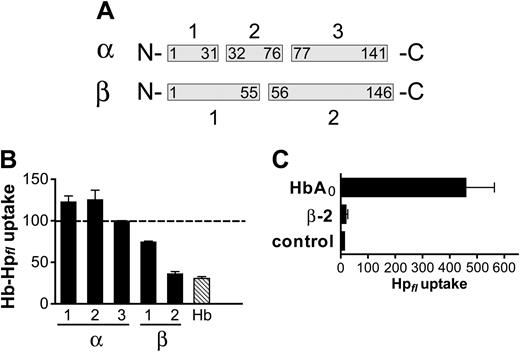Figure 5. Hb β-chain contains the putative CD163 binding site. Human HbA0 was cleaved by CNBr, and the 5 resultant fragments (A) were purified and analyzed for their ability to compete with Hb-Hpfl (50 nM) endocytosis by CD163. When added at a 100-fold molar-excess concentration, the peptide corresponding to the C-terminal Hb β-chain (β-2) had a quantitatively similar potency to antagonize Hb-Hpfl uptake, as does complete HbA0 (B). Unlike native HbA0, the β-2 peptide does not form complexes with Hp, as evidenced by its inability to support the uptake of fluorescent Hp. CD163-HEK293 cells were incubated for 30 minutes with Alexa 488-Hp (Hpfl; 5μg/mL) with or without (control) HbA0 (10 μg/mL) or β-2 peptide (10 μg/mL), respectively (C).