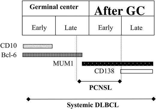 Figure 3. Schematic representation of our hypothesis, developed to explain the histogenesis of PCNSL, taking into consideration the time of B-cell arrest and the corresponding antigen expression. This hypothesis expands upon the model proposed by Carbone et al,25 which was founded on the physiologic stages of B-cell maturation.