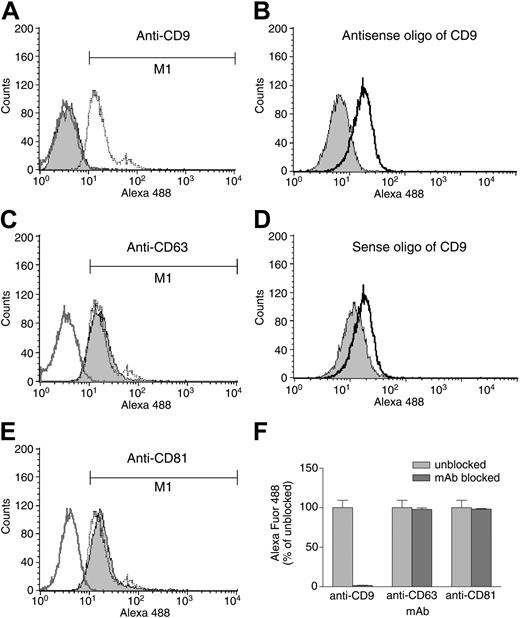 Figure 4. IL-16 binding to HMC-1 cells. HMC-1 cells were incubated with anti-CD9 (A), anti-CD63 (C), or anti-CD81 (E) mAbs. Alternately, the cells were exposed to CD9-specific antisense (B) or sense (D) oligonucleotides. The ability of IL-16 to bind to the surfaces of the 5 populations of cells was then evaluated. The blackline in each panel represents the binding of labeled IL-16 to the untreated control cells. Shown in gray are the IL-16–binding data obtained with the mAb- or oligonucleotide-treated cells. Shown in dark gray in panels A, C, and E are the control data obtained when cells are incubated with an antitetraspanin mAb in the absence of the labeled cytokine. The bar graph in panel F summarizes the obtained data from 3 different antibody-blocking experiments. Data represent the mean ± SD of 3 experiments.