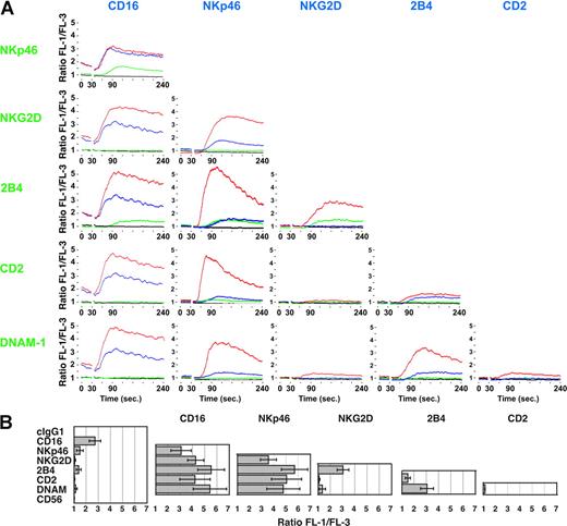 Figure 3. Synergistic activation of Ca2+ flux in resting NK cells by co-crosslinking pair-wise combinations of receptors. (A-B) NK cells were preincubated with mAbs to indicated receptors on ice, loaded with Fluo-4 and Fura Red, resuspended in HBSS 1% FBS, and prewarmed at 37°C. Cells were analyzed by flow cytometry. After 30 seconds, secondary F(ab′)2 goat anti-mouse IgG was added to each sample. (A) FL-1/FL-3 ratios are plotted as a function of time. Black lines show activation with isotype control. Blue lines show activation by the single receptors, indicated in blue. Green lines show activation by the single receptors, indicated in green. Red lines show activation by the combination of both receptors. (B) The peak FL-1/FL-3 ratio after cross-linking of indicated receptor combinations was measured in several independent experiments. Bars indicate the SD (≥ 3 independent experiments).
