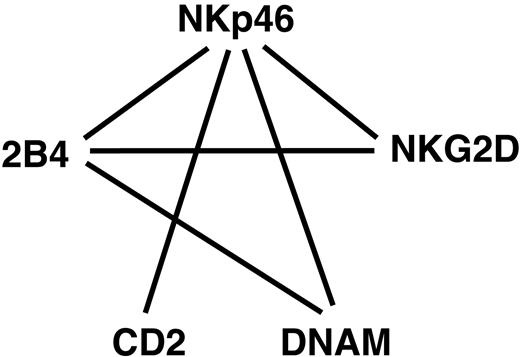 Figure 7. Schematic representation of synergies among receptors in resting NK cells. Solid lines represent strong synergies between pairs of receptors.