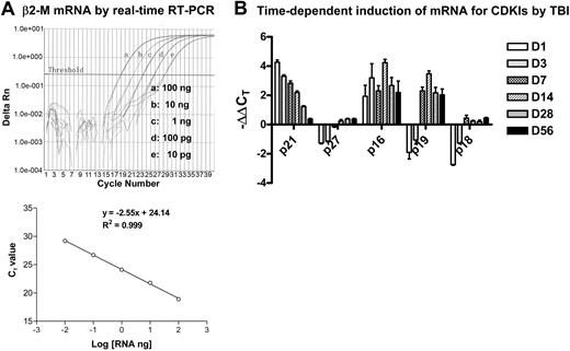 Figure 3. Analysis of mRNA expression for β2-M and CDKIs by real-time RT-PCR. (A) Dose-dependent amplification of β2-M mRNA by real-time RT-PCR. Top panel: The intensities of fluorescence signal of the FAM dye (delta Rn) are plotted on the y-axis and the cycle number is plotted on the x-axis. The amplification plots shifted to the right as RNA levels were reduced (from 100 ng to 10 pg, 1:10 diluted). The threshold cycle (CT) is defined as the cycle number at which the delta Rn of a sample crossed a threshold of 10 SD above baseline fluorescence. Bottom panel: The CT value is plotted on the y-axis and the amount of RNA input is plotted on the x-axis. The CT value decreases linearly with the RNA input. (B) Time-dependent induction of mRNA for CDKIs by TBI. Mice were exposed to 6.5 Gy TBI or unirradiated as control. At 1, 3, 7, 14, 28, and 56 days after TBI, BM-MNCs were isolated from irradiated and unirradiated mice and then RNA was extracted from these cells and analyzed by real-time RT-PCR to determine mRNA expression for various CDKIs. A representative analysis of CDKI mRNA expression by real-time RT-PCR is presented as mean ± SD of triplicate (ΔΔCT-CDKI = ΔCT-IR - ΔCT-CTL; ΔCT-IR = CT-IR/CDKI - CT-IR/β2-M; ΔCT-CTL = CT-CTL/CDKI - CT-CTL/β2-M).