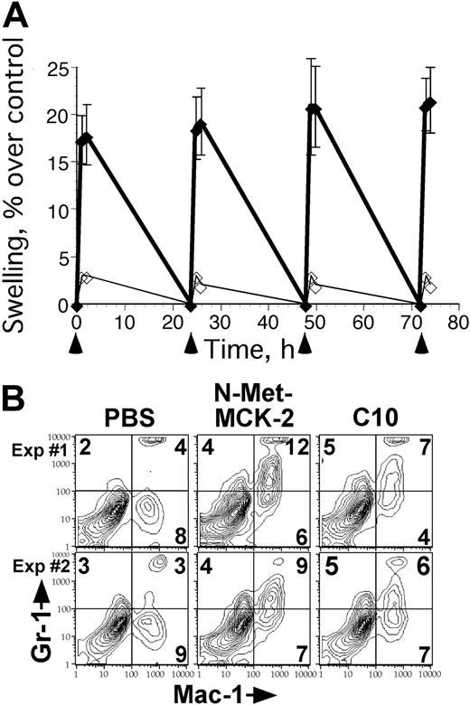 Figure 3. FCM analysis of N-Met-MCK-2 recruited Mac-1+/Gr-1int myeloid cells. (A) N-Met-MCK-2-induced swelling. BALB/c mice were injected into FPs 4 times with 200-ng doses of N-Met-MCK-2 (♦) or PBS carrier (⋄) using groups of mice as indicated by arrowheads below the graph. Standard deviation of mean swelling is indicated by error bars. (B) FCM analysis of cells recovered from FPs prepared from 2 independent experiments using groups of 4 (experiment 1) or 5 (experiment 2) BALB/c mice at 3 hours after the fourth N-Met-MCK-2 injection. FCM analysis and layout is described in the legend to Figure 2.