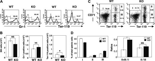 Figure 3. Erythropoiesis in BM and the spleen of SHPS-1 mutant mice. (A) BM cells freshly isolated from the femur of WT or homozygous SHPS-1 mutant (KO) mice at 6 weeks of age were labeled with a PE-conjugated mAb to Gr-1 (thick traces) and an FITC-conjugated mAb to Ter-119 (thick traces). The specific mAb (to Gr-1 or to Ter-119) was replaced with rat IgG to TNP as a negative control (thin traces). The cells were then analyzed by flow cytometry. Mature RBCs (with low forward scatter and low side scatter) were excluded from analysis. The relative numbers of Gr-1-positive or Ter-119-positive cells were expressed as a percentage of all BM cells, as indicated on each histogram. Data are representative of 3 separate experiments. (B) The total BM-cell number (including mature RBCs) per femur was determined with a Burker-Turk counting chamber for WT and SHPS-1 mutant mice (left). The total BM-cell number excluding mature RBCs was calculated according to the density plot of FACS analysis for gating out of mature RBCs. Data similar to those shown in panel A were used to determine the absolute values for Gr-1-positive myeloid cells and Ter-119-positive erythroid cells (middle and right, respectively) by multiplying the percentage of Gr-1-positive myeloid cells or Ter-119-positive erythroid cells by the total BM-cell numbers excluding mature RBCs. Results are means ± SE of values from 3 mice of each genotype. *P < .05. (C) Freshly isolated splenic cells from WT or SHPS-1 mutant mice at 6 weeks of age were labeled with a PE-conjugated mAb to CD71, an FITC-conjugated mAb to Ter-119, and 7-AAD. They were then subjected to 3-color flow cytometry, with dead cells (7-AAD positive) and mature RBCs (with low forward scatter and low side scatter) being excluded from the analysis. Without gating out of mature RBCs, the proportion of region III (which represents Ter-119highCD71low cells) becomes extremely high (53.42%, without gating out vs 16.14%, with gating out) in the WT animal for instance, suggesting that gating out of mature RBCs is effective and thus essential for the analysis. Results are presented as density plots of all viable splenocytes; axes represent relative fluorescence units for FITC (Ter-119) and PE (CD71). Regions I to III were selected as indicated. The relative numbers of cells in each region were expressed as a percentage of all viable splenocytes, as indicated on each plot. Data are representative of 3 separate experiments. (D) Data similar to those shown in panel C were used to determine the percentages of nonerythroid cells (Ter-119 low, region I) as well as the percentages of early erythroblast (Ter-119highCD71high, region II) and the percentages of late erythroblast (Ter-119 highCD71low, region III) among total splenocytes for WT and SHPS-1 mutant mice (left). The ratio of Ter-119high cells (regions II and III) to Ter-119low cells (region I) and that of early (region II) to late (region III) erythroblasts are shown in the right panel. Results are means ± SE of values from 3 mice of each genotype. *P < .01.