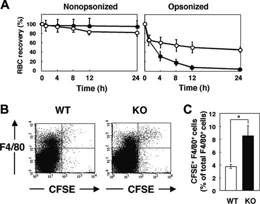 Figure 5. Clearance of opsonized RBCs and their uptake by F4/80-positive splenic macrophages in SHPS-1 mutant mice. (A) WT (○) or homozygous SHPS-1 mutant (•) mice at 7 weeks of age were injected with CFSE-labeled RBCs (from WT mice) that had been opsonized with IgG (right) or not (left). Clearance of the injected RBCs was determined at the indicated times thereafter as in Figure 4A. (B) Splenocytes were isolated from WT or SHPS-1 mutant (KO) mice 8 hours after transfusion of IgG-opsonized, CFSE-labeled RBCs (from WT mice) as in panel A. The splenocytes were stained with a biotin-conjugated mAb to F4/80, PE-conjugate streptavidin, and 7-AAD, after which live F4/80-positive splenic macrophages that had ingested RBCs were detected by 3-color flow cytometry. Each panel shows a density plot of all viable splenocytes; axes indicate relative fluorescence units for CFSE and PE (F4/80). Results are representative of 3 independent experiments. (C) Among all F4/80-positive cells, the percentage of cells that had ingested CFSE-labeled RBCs was determined for WT and SHPS-1 mutant recipients in experiments similar to that shown in panel B. Data are means ± SE of values from 5 mice of each group and are representative of 3 independent experiments. *P < .05