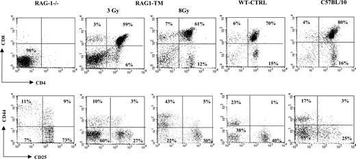 Figure 1. Thymus profile after RAG1 retroviral-mediated gene transfer into RAG-1-deficient mice. Mice receiving transplants were killed 6 months after RAG1 gene transfer. Flow cytometry analysis was performed on total thymic cells for CD4 and CD8 staining. For the CD25 and CD44 distribution analysis, the dot-plot window was gated on the CD4-CD8- cells. The dot plots are representative of one experiment: n = 4 for the RAG-1-deficient mice (RAG-1-/-), n = 5 for the RAG1-transduced mice (RAG1-TM, 3 Gy), n = 4 for the RAG1-transduced mice (RAG1-TM, 8 Gy), n = 8 for the control mice (WT-CTRL), and n = 4 for the same age wild-type C57BL/10 mice. Percentages represent the proportion of cells expressing CD4, CD8, CD25, or CD44 markers.