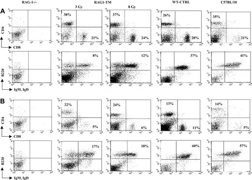Figure 2. T- and B-lymphocyte reconstitution. Reconstitution is depicted in lymph nodes (A) and spleen (B) following RAG1 gene therapy. Six months after transplantation, mice were killed, and flow cytometry analysis was performed to measure the proportion of mature T and B lymphocytes in the different organs. The dot plots are representative of 1 of 9 RAG1-TM (n = 5 for 3 Gy and n = 4 for 8 Gy), 8 WT-CTRL, 4 C57BL/10, and 4 RAG-1-/- mice that gave similar results. Percentages represent the proportion of cells expressing CD4, CD8, B220, IgM, or IgD markers.
