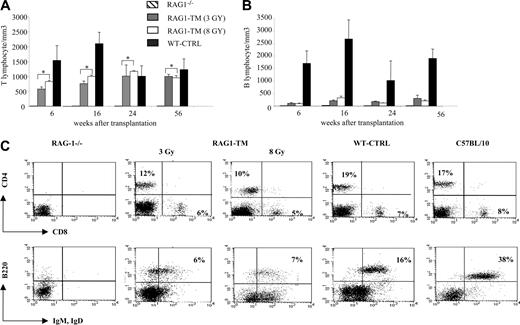 Figure 3. Blood lymphocyte counts after RAG1 retroviral-mediated gene transfer in RAG-1-deficient mice. Peripheral T lymphocytes (A) and B lymphocytes (B) were counted and immunostained at various times. The number of tested mice was as follows: RAG-1-/- (n = 4), RAG1-transduced mice (RAG1-TM, n = 9), and control mice (WT-CTRL, n = 8). Data are expressed as means ± standard deviation (SD). *The comparison of these values is not statistically significant. (C) Blood lymphocyte phenotype after RAG1 retroviral-mediated gene transfer in RAG-1-deficient mice 6 months after treatment. Flow cytometry analysis was performed on RAG-1-/-, RAG1-TM, WT-CTRL, and wild-type mice to detect the proportion of mature T-cell subsets (CD4+CD3+ or CD8+CD3+) and mature B cells (B220+IgM+IgD+). Leukocyte counts were 1000 cells/mm3, 3200 cells/mm3, 3000 cells/mm3, 2400 cells/mm3, and 5000 cells/mm3, respectively, for RAG-1-/-, RAG1-TM (3 Gy), RAG1-TM (8 Gy), WT-CTRL, and wild-type mice. Data are representative of 1 of 9 RAG1-TM mice that gave similar results. Percentages represent the proportion of cells expressing CD4, CD8, B220, IgM, or IgD markers.