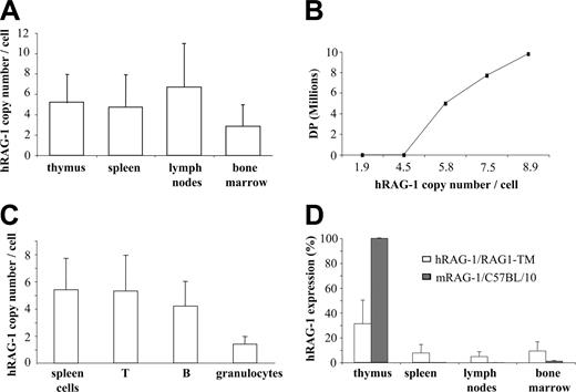 Figure 5. Quantification of provirus integration and hRAG1 transgene expression. (A) The hRAG1 copy number was quantified on the DNA extracted from thymus, spleen, lymph nodes, and bone marrow cells (n = 9) 6 months after transplantation. (B) Correlation between hRAG1 copy number and CD4+CD8+ (DP) number in the thymus of RAG1-TM animals 6 months after gene transfer. (C) T cells, B cells, and granulocytes were purified from the spleen before DNA extraction to quantify transgene copy number. Data are expressed as means ± SD. (D) hRAG-1 and mRAG-1 expression were determined on the RNA extracted from thymus, spleen, lymph nodes, and bone marrow cells (n = 9 for RAG1-TM and n = 4 for C57BL/10) 6 months after transplantation. hRAG-1 transcript expression was compared with endogenous acidic ribosomal phosphoprotein expression (PO) and expressed as a percentage of a reference sample (RAG-1 expression in the thymus of a wild-type mouse).