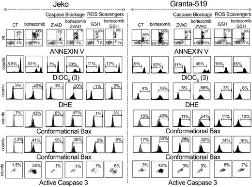 Figure 3. Bortezomib activates the intrinsic pathway in MCL cells. Effect of caspase inhibition and ROS elimination on bortezomib-induced apoptosis in MCL. Jeko and Granta-519 cells were treated with 20 nM bortezomib for 18 hours in the absence or presence of z-VAD-fmk (50 μM) or glutathione-reduced ethyl ester (GSH, 2 mM). These inhibitors were preincubated for 1 hour before bortezomib addition. Cell viability was determined by annexin V/PI staining. ΔΨm was assessed by DiOC6(3) staining, and ROS generation was quantified using DHE. Bax/Bak conformational changes and caspase-3 activation were determined by staining permeabilized cells with anti-Bax, anti-Bak, and anti-active caspase-3 antibodies. In treated cells, the histogram (black) is superimposed with the control (gray). The percentage of positive cells for each labeling is indicated inside the chart.